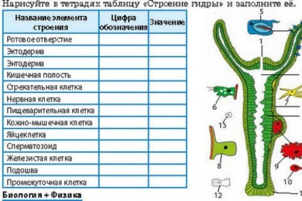 Браузер для кракен